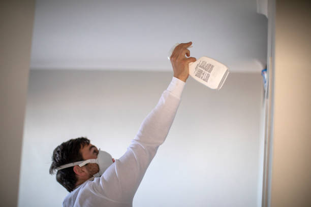 Best Commercial Mold Removal  in Columbia, IL