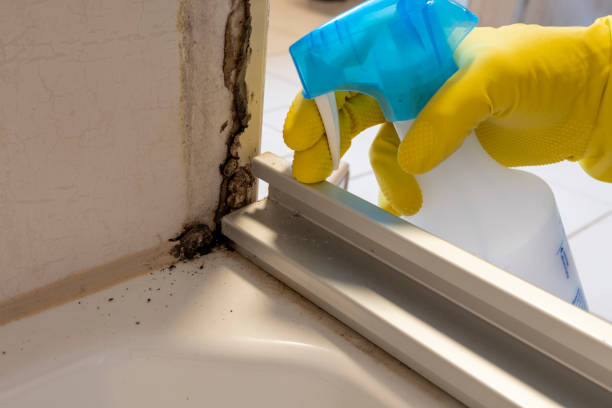 Best Crawl Space Mold Removal  in Columbia, IL
