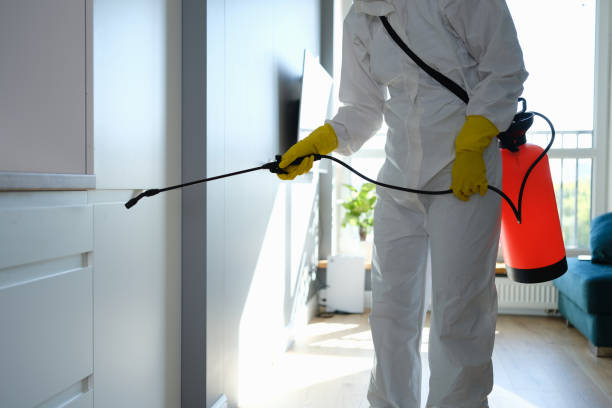 Best Mold Damage Repair  in Columbia, IL