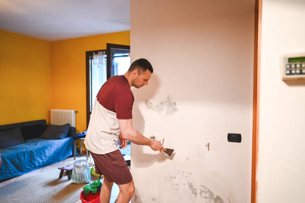 Best Home Mold Removal  in Columbia, IL