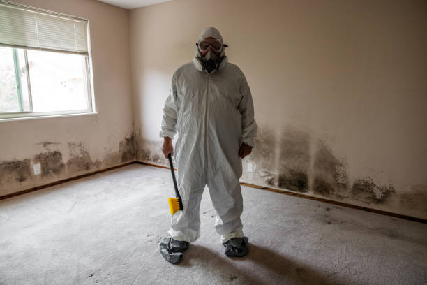 Best Black Mold Removal  in Columbia, IL